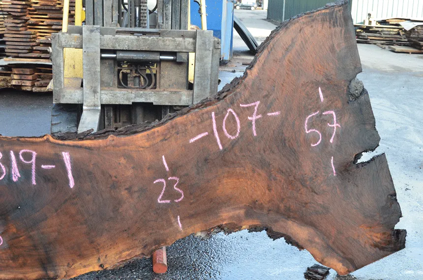 031319-01 Oregon Black Walnut Slab