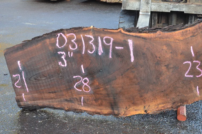 031319-01 Oregon Black Walnut Slab