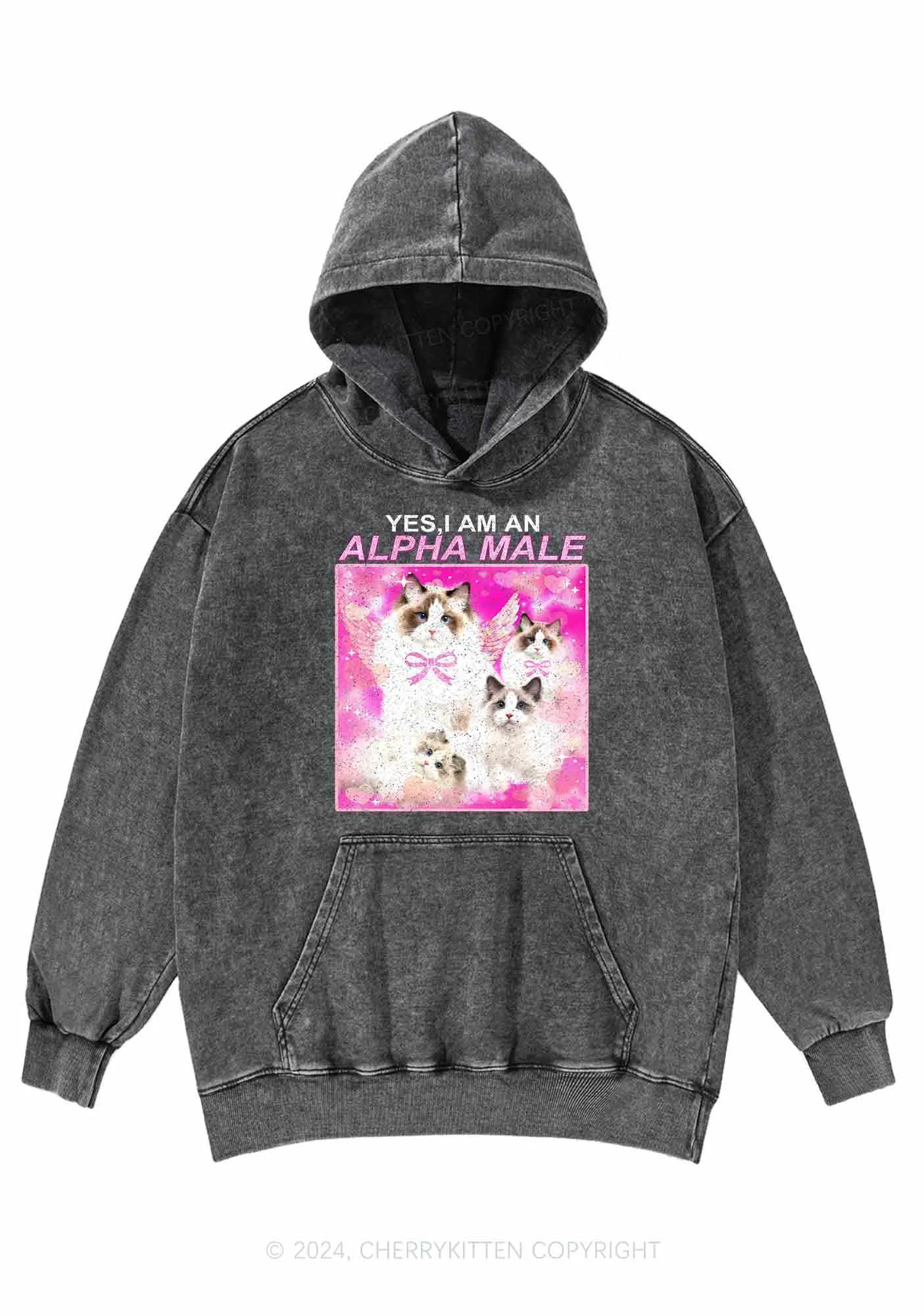 Alpha Male Y2K Washed Hoodie Cherrykitten
