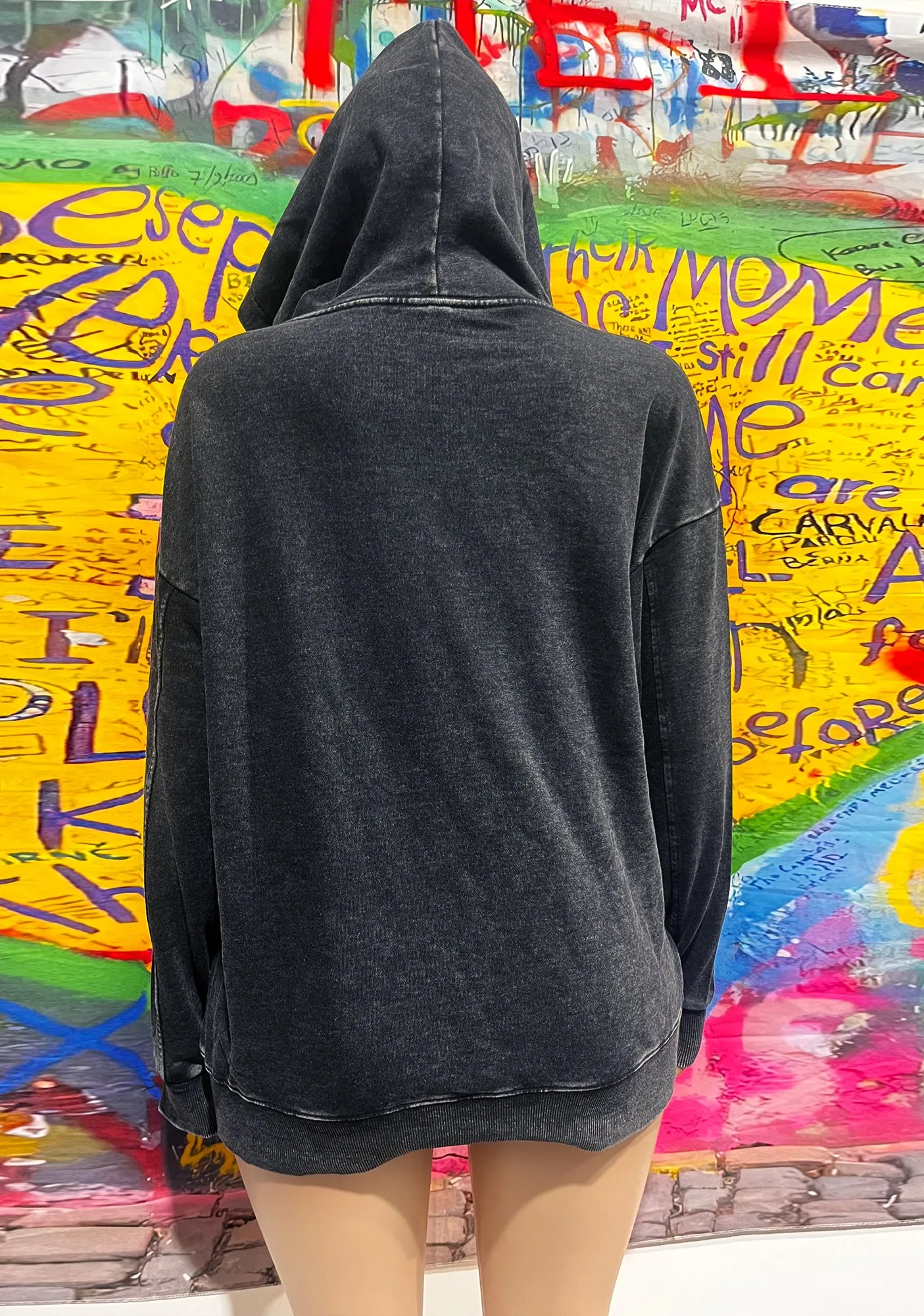 Bluepink Luigi Portrait Y2K Washed Hoodie Cherrykitten