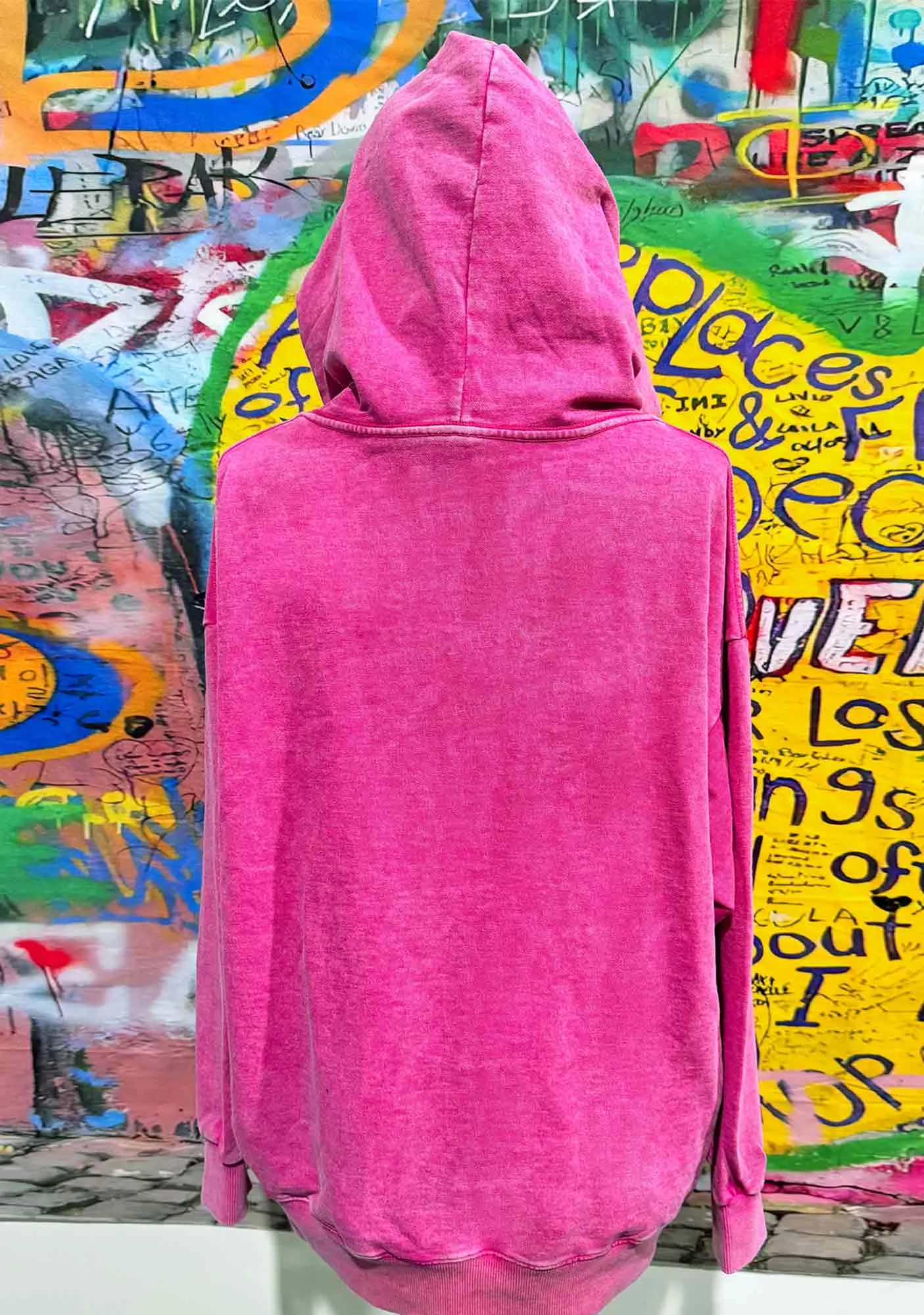 Bluepink Luigi Portrait Y2K Washed Hoodie Cherrykitten