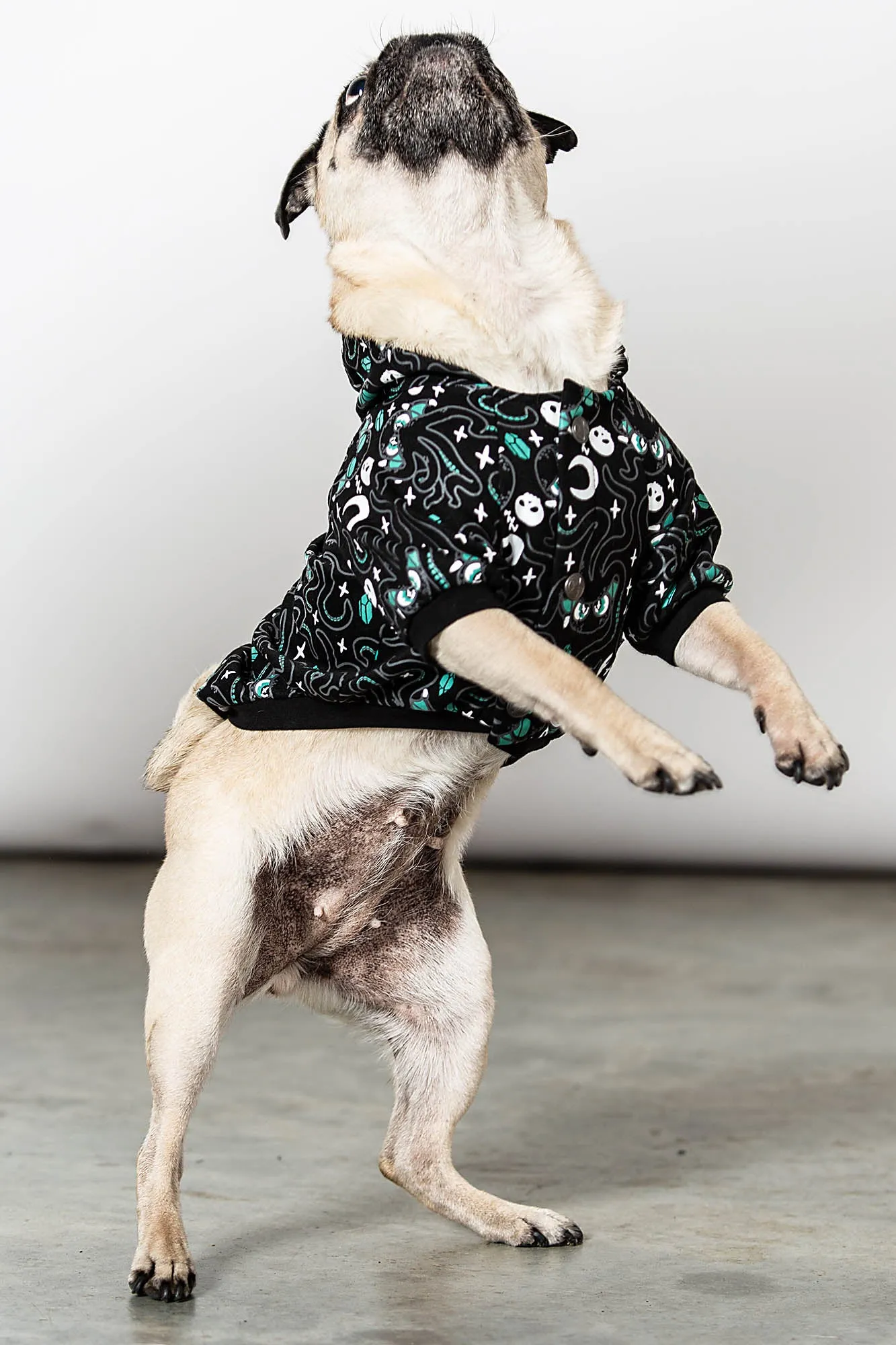 Cthulhu Pet Hoodie