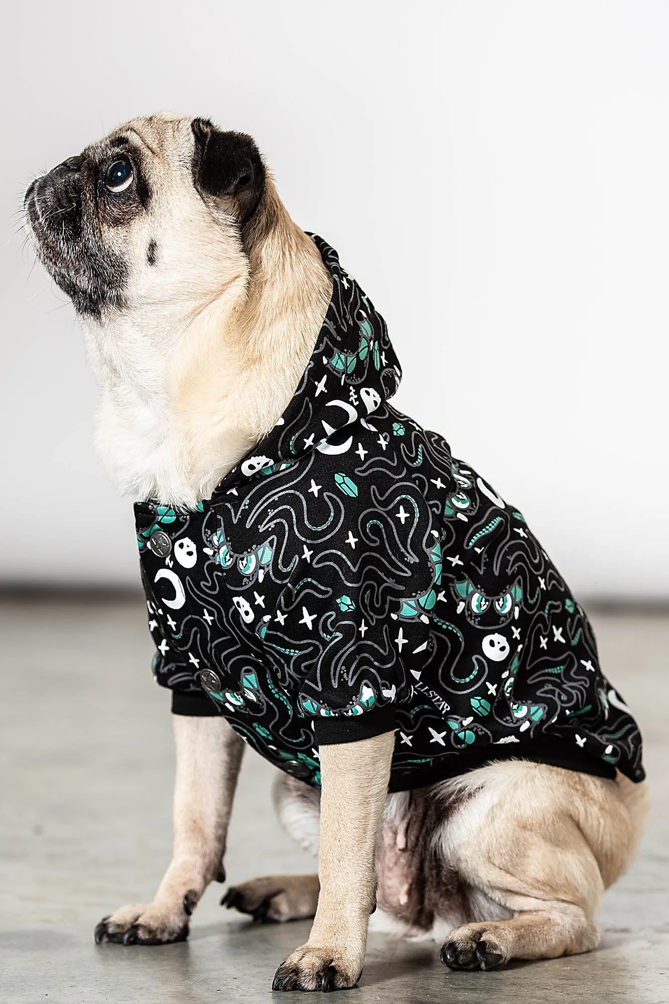 Cthulhu Pet Hoodie