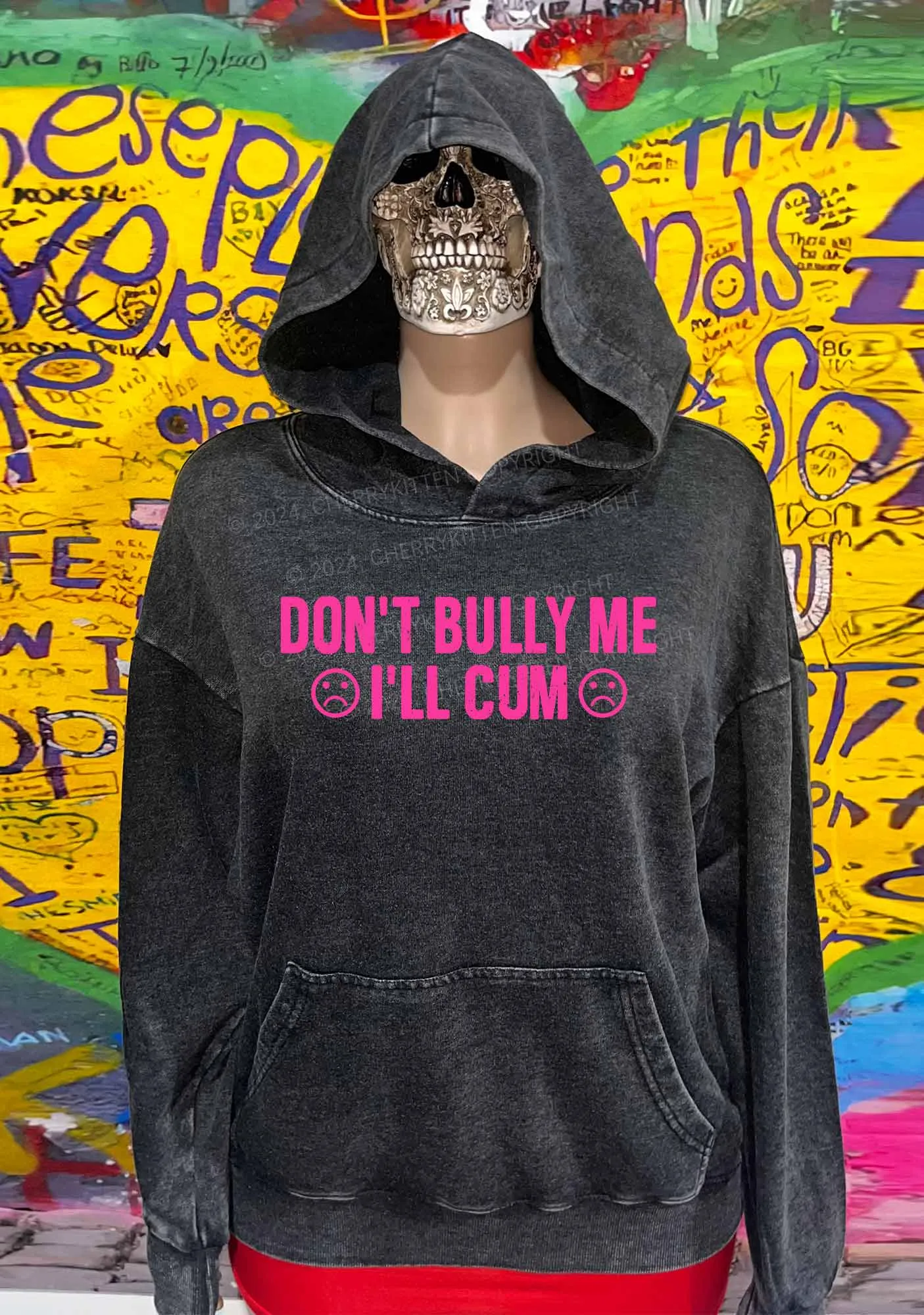 Don't Bully Me Y2K Washed Hoodie Cherrykitten