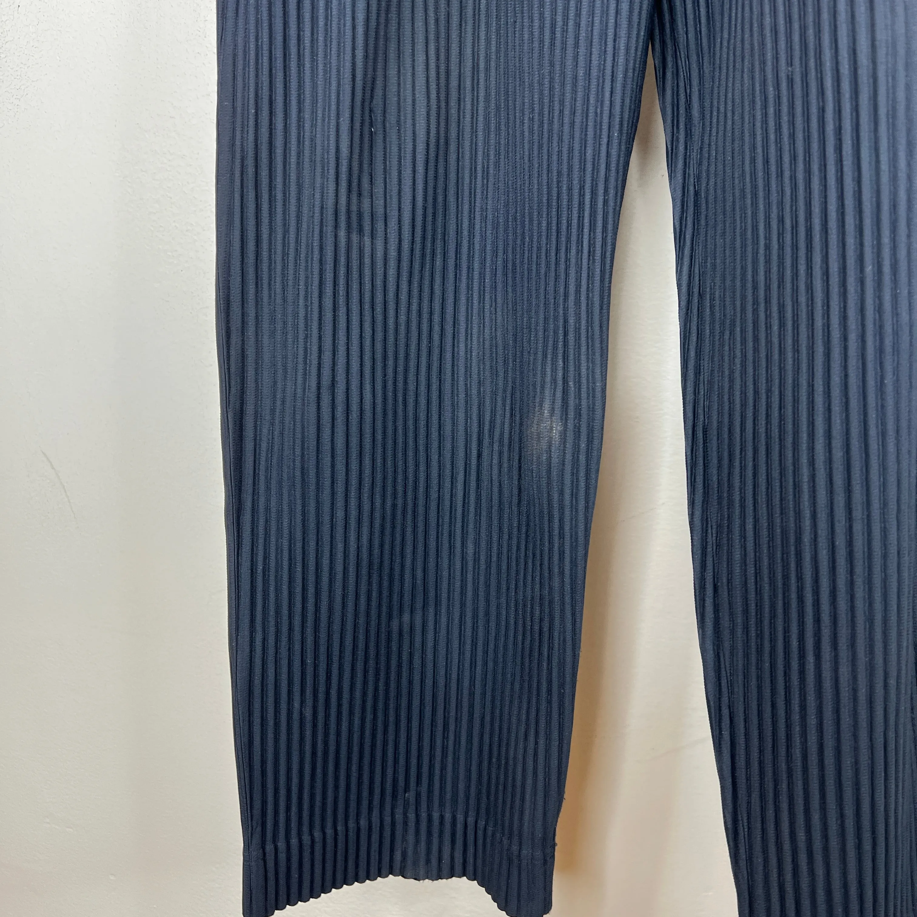 Issey Miyake Navy Pleated Pants