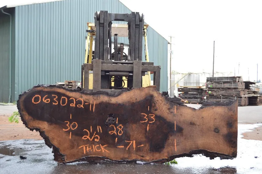 Oregon Black Walnut Slab 063022-11